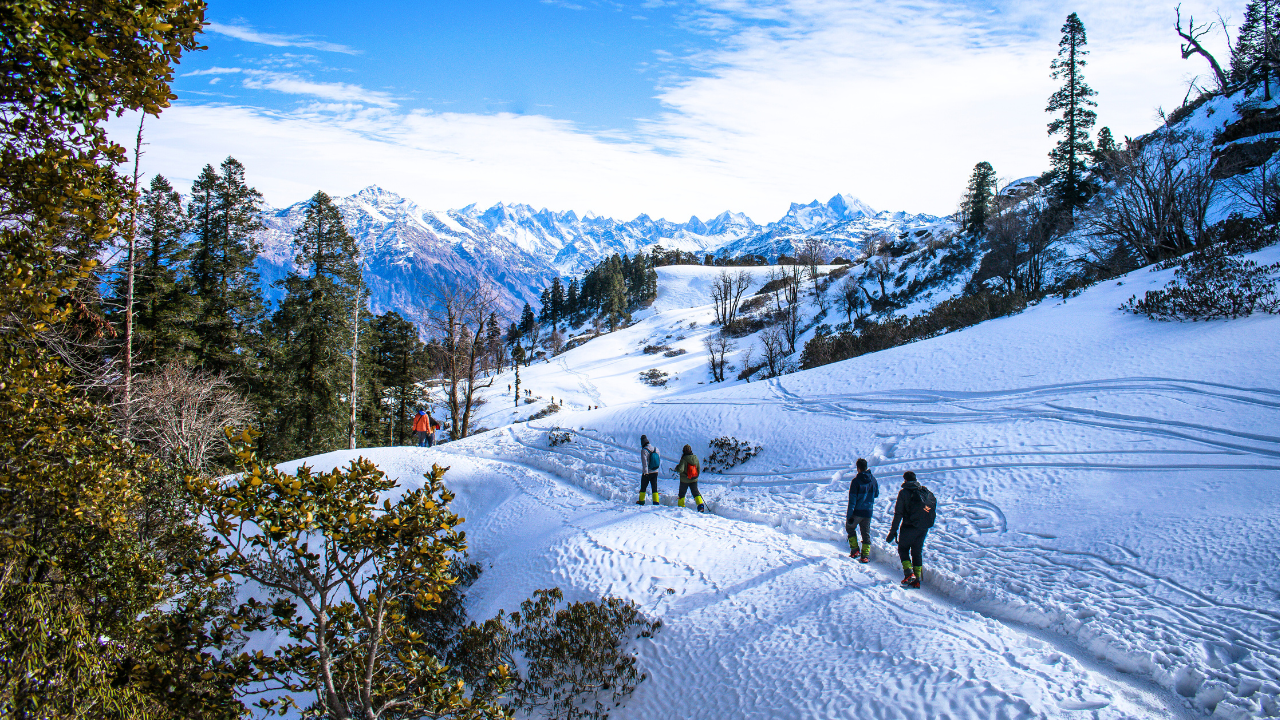 kashmir